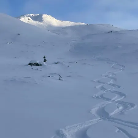 Hemsedal, Ski-in Ski-out, Skarsnuten Panorama Appartamento *