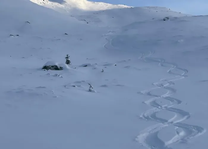 Lägenhet Hemsedal, Ski-in Ski-out, Skarsnuten Panorama *